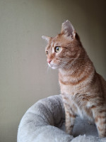 /album/26-02-20261/whatsapp-image-2026-02-26-at-17-59-55-jpeg/